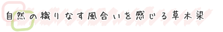自然の織りなす風合いを感じる草木染